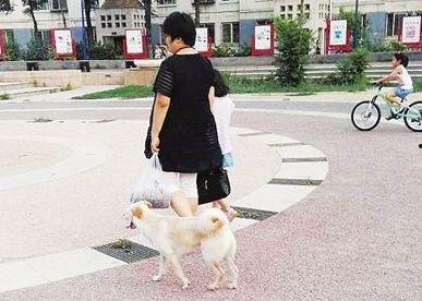 遛狗不拴绳爆料视频播放,网络曝光引发社会热议  第3张